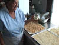 Miniatura della scheda Canditura delle arance